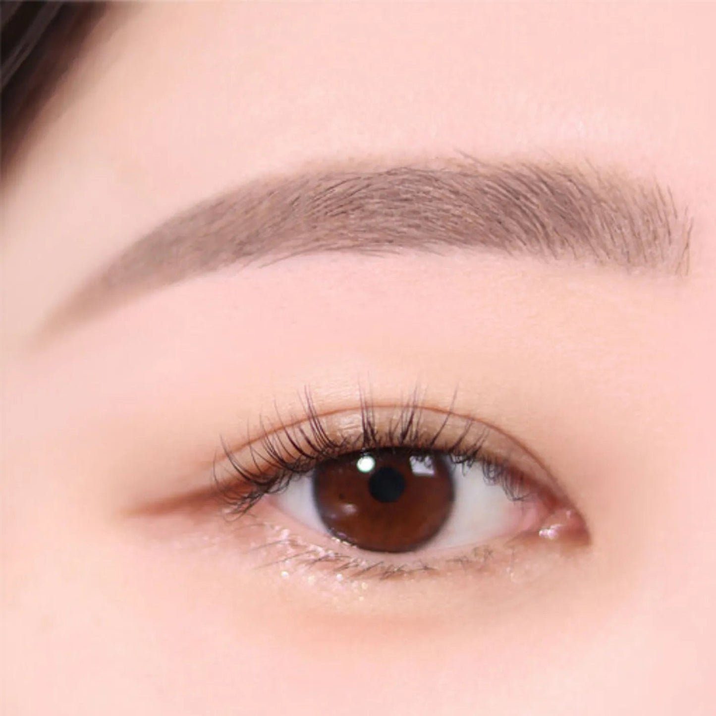 espoir The Brow Color Fixing Cara 3g | Koreanskincare