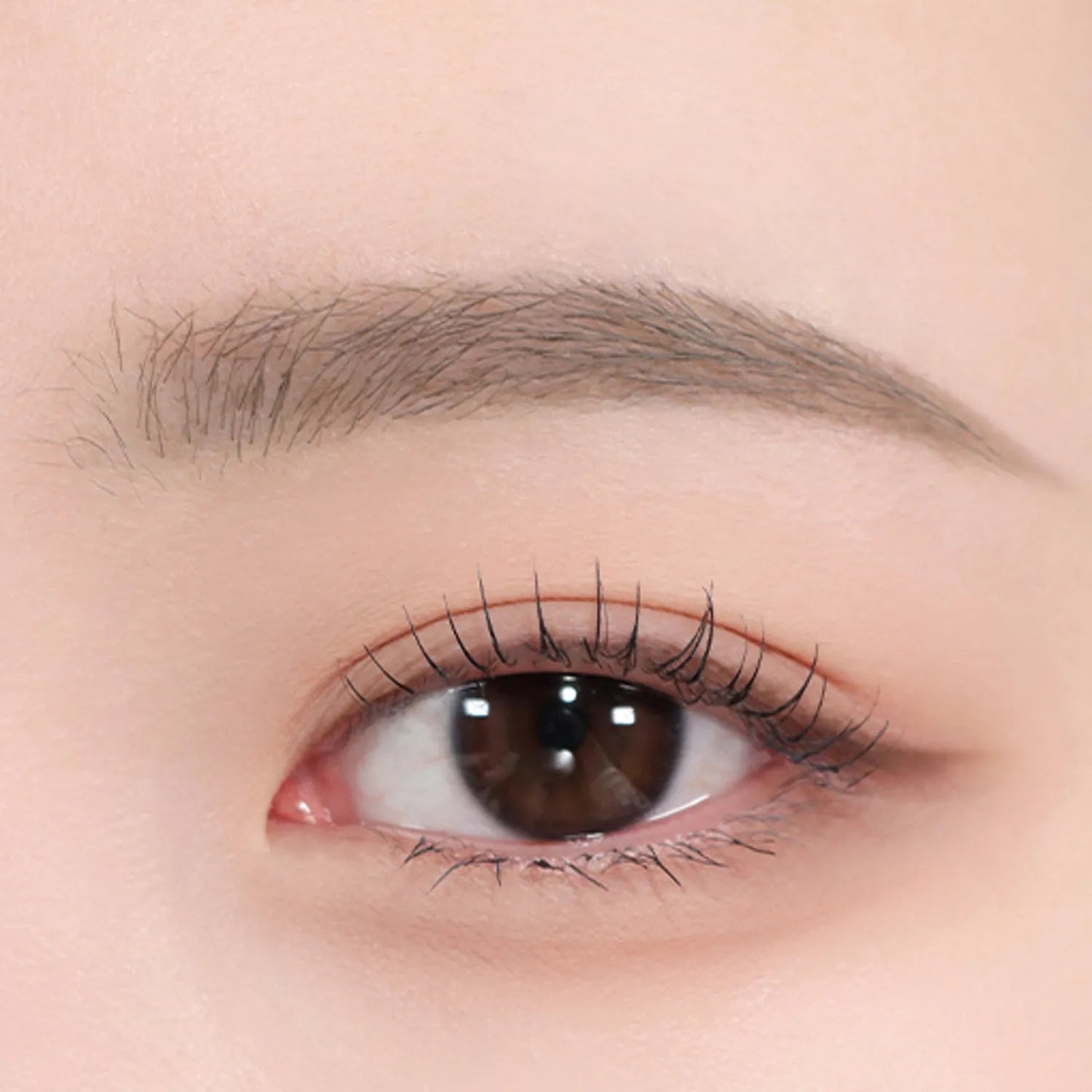 espoir The Brow Color Fixing Cara 3g | Koreanskincare