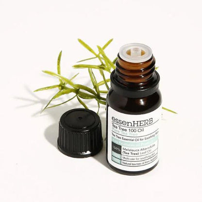 essenHERB_Tea Tree 100 Oil 10mL Special Set (+Cream 10mL+Cotton Swab 50P)_Koreanskincare